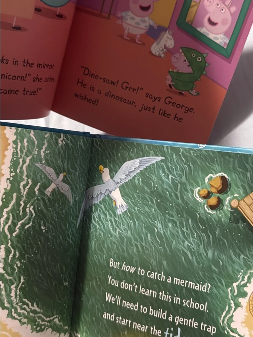 Lot of 11 Children’s Books - India Adventure, Disney Princess, How to Catch Seri